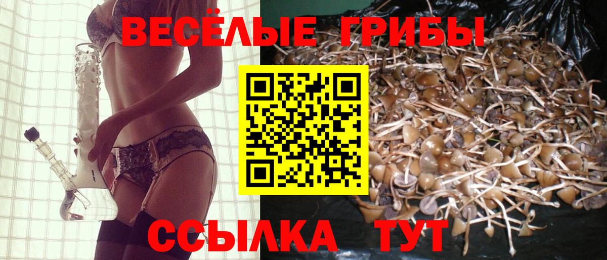 Галлюциногенные грибы GOLDEN TEACHER  Ярцево 