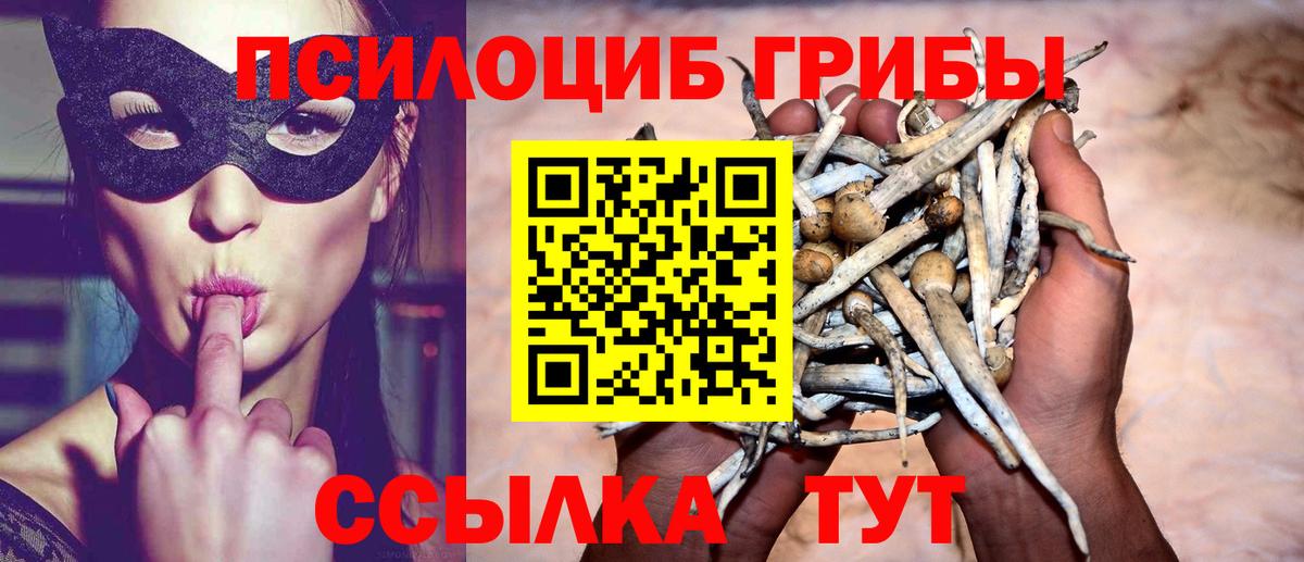 Галлюциногенные грибы Cubensis  Вход с VPN  Ярцево 